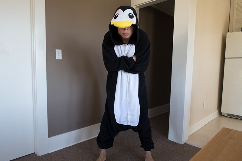 campenguin.thumb.png.911cd3acecb9cebcae9