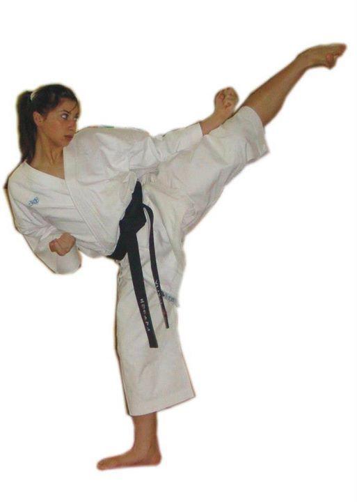 karate_kick.thumb.jpg.ebab122a080b14d59d